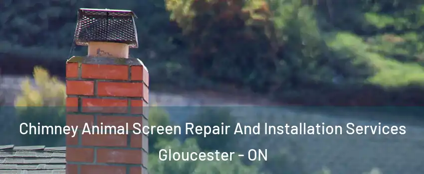  Chimney Animal Screen Repair And Installation Services Gloucester - ON