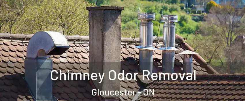  Chimney Odor Removal Gloucester - ON