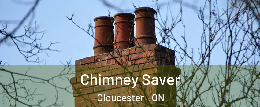  Chimney Saver Gloucester - ON