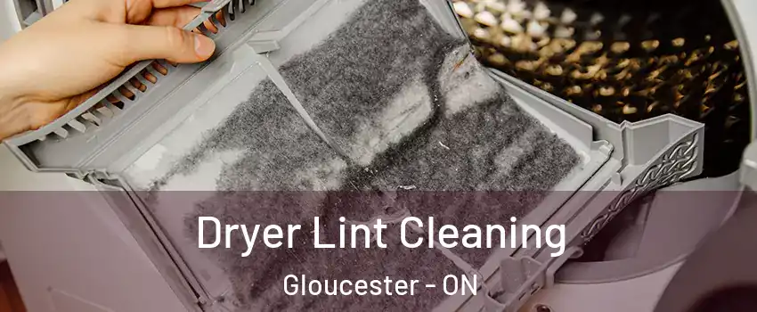  Dryer Lint Cleaning Gloucester - ON