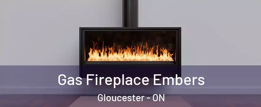  Gas Fireplace Embers Gloucester - ON