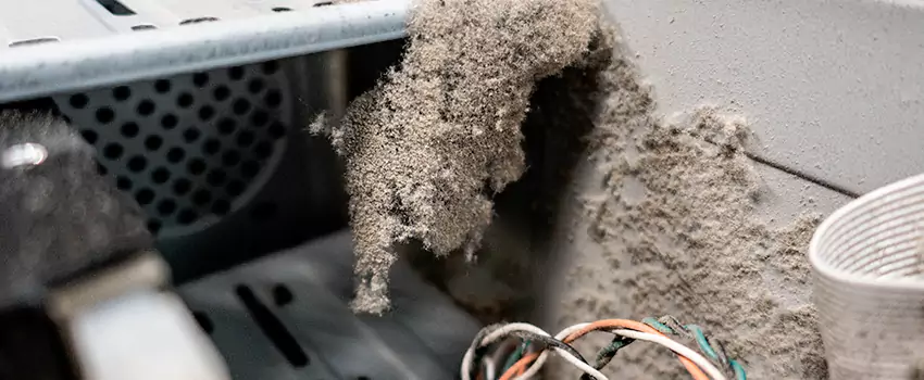 Clogged Dryer Vent Lint Cleaning in Gloucester, Ontario
