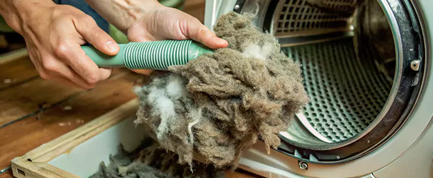 Best Dryer Lint Removal Company in Gloucester, Ontario