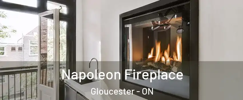  Napoleon Fireplace Gloucester - ON